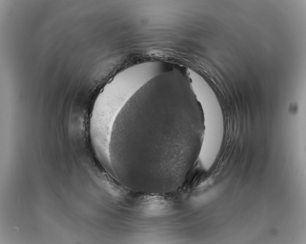 X0000089920424200707201822