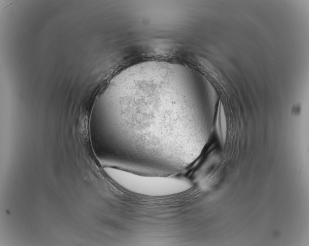 X0000089920425200707201822