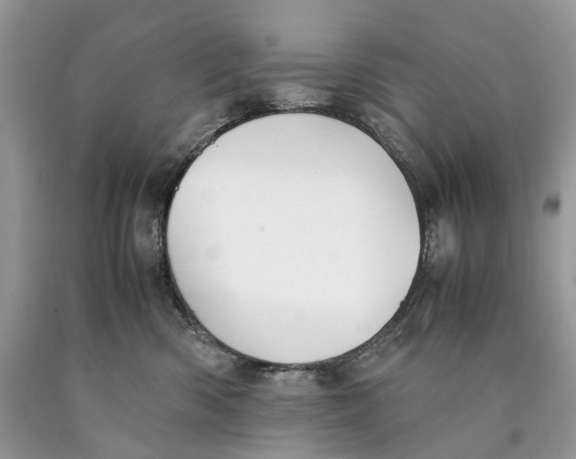 X0000089920426200707201822