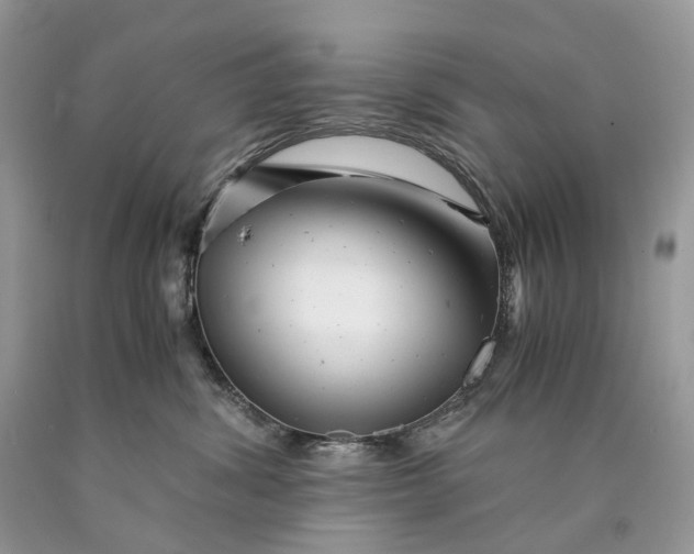 X0000089920428200707201822