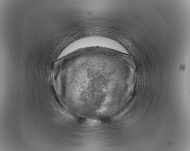 X0000089920429200707201822