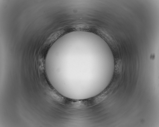 X0000089920430200707201822