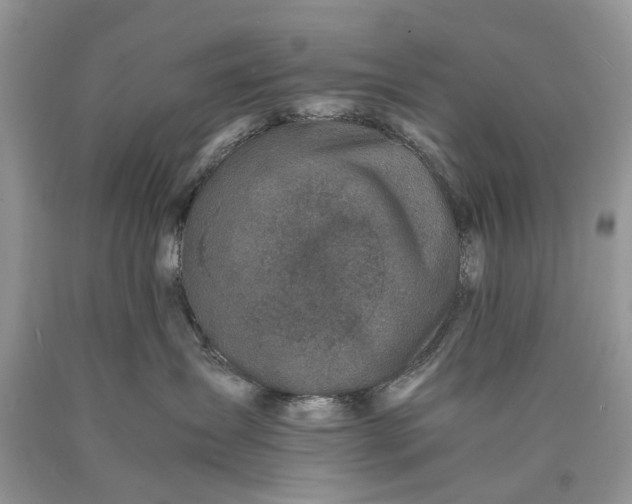 X0000089920431200707201822