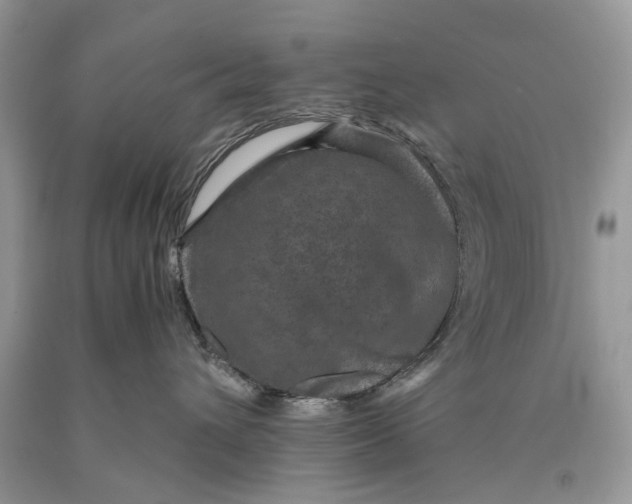 X0000089920432200707201822