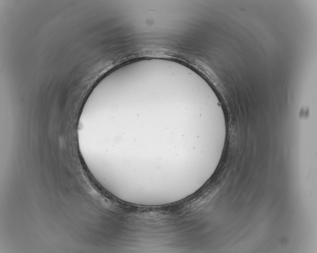 X0000089920433200707201821