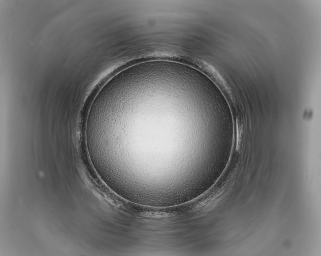 X0000089920435200707201821