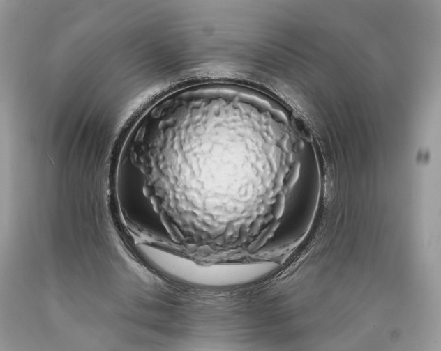 X0000089920438200707201821