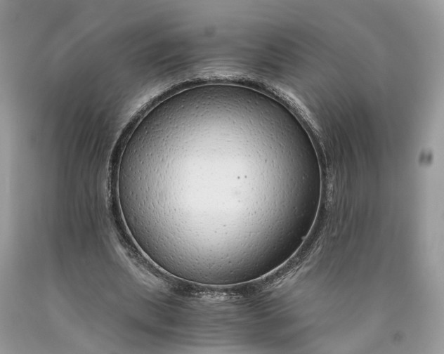 X0000089920439200707201821