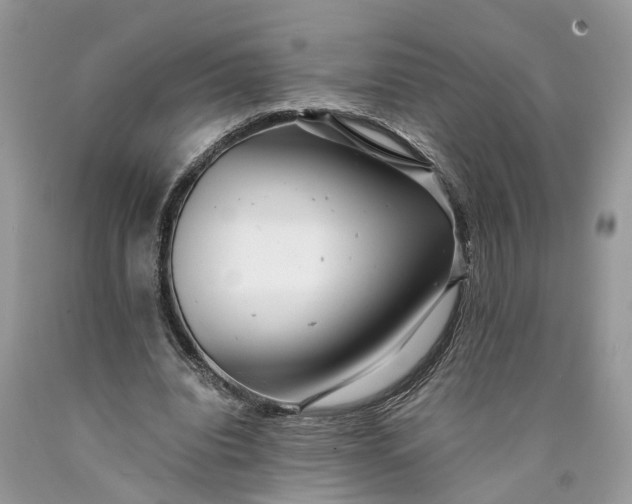 X0000089920440200707201821