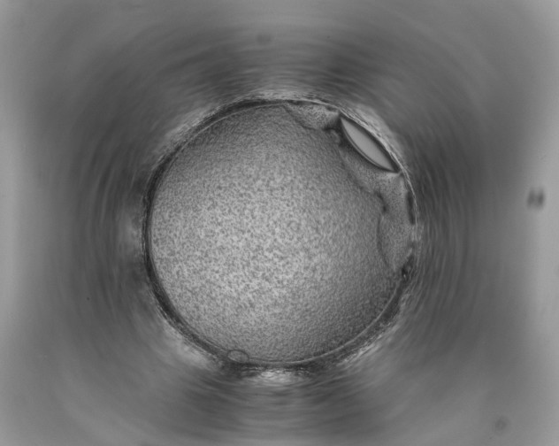 X0000089920441200707201821