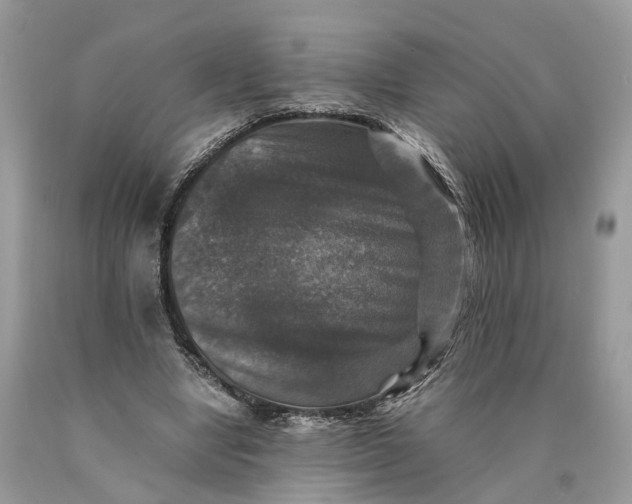 X0000089920442200707201822