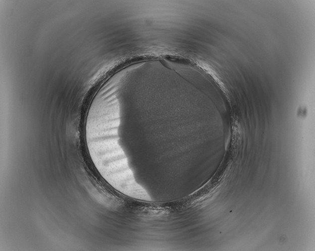 X0000089920443200707201822