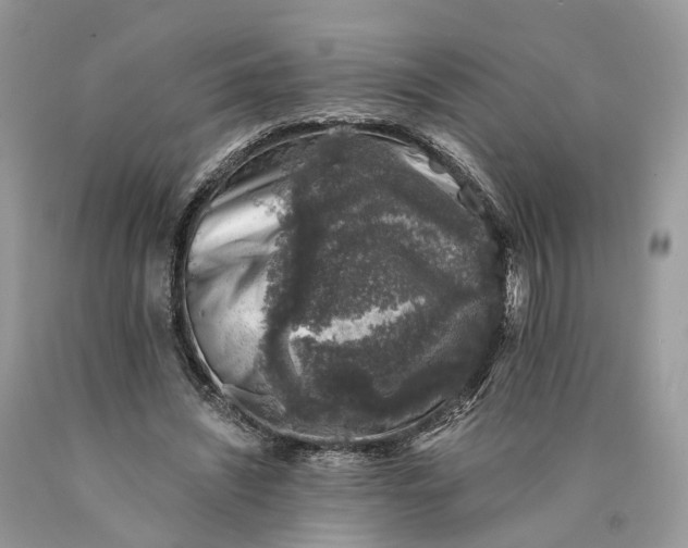 X0000089920444200707201822