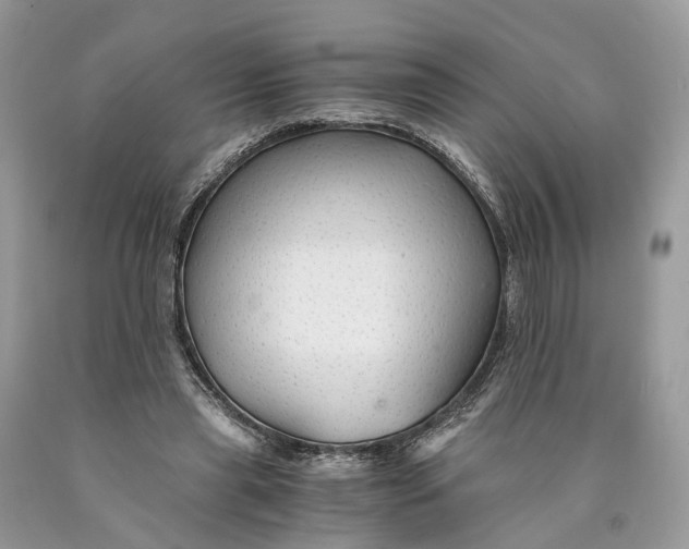 X0000089920445200707201822