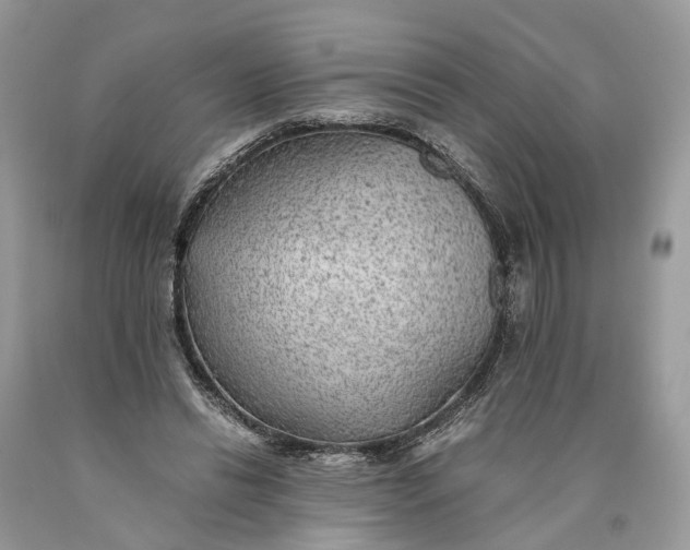 X0000089920446200707201822