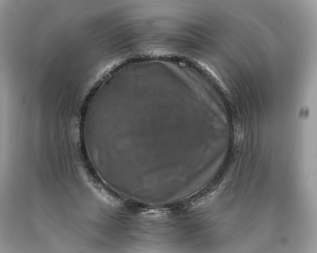 X0000089920447200707201822