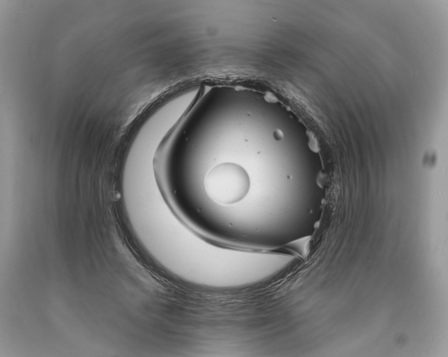 X0000089920448200707201822