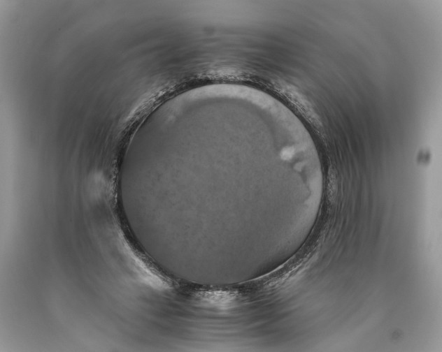 X0000089920449200707201822