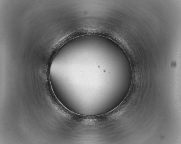 X0000089920450200707201822