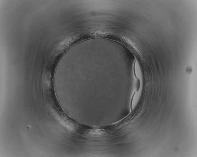 X0000089920451200707201822