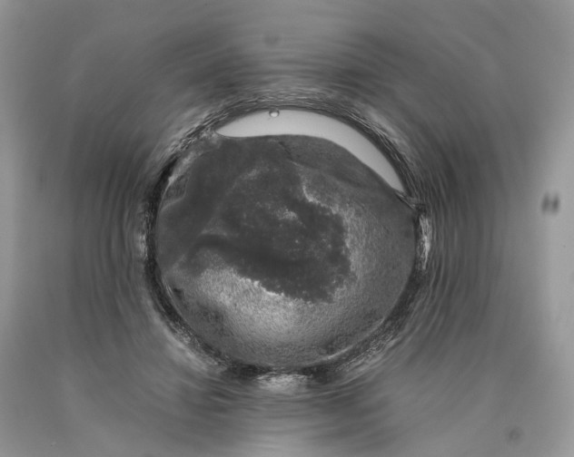 X0000089920452200707201822