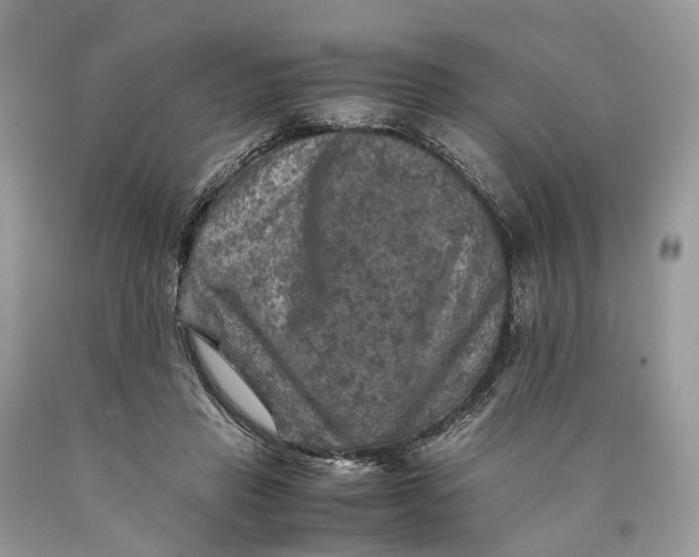 X0000089920453200707201822