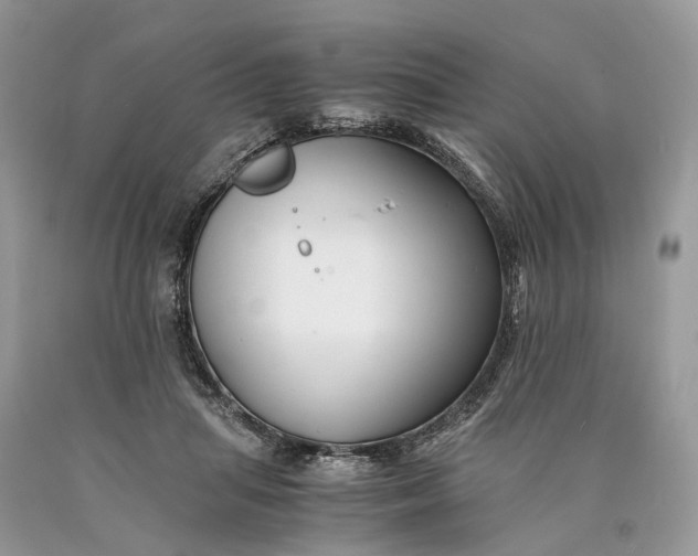 X0000089920455200707201822