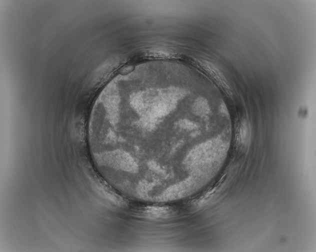 X0000089920457200707201822