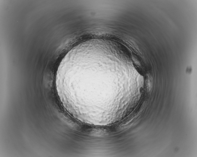 X0000089920458200707201822