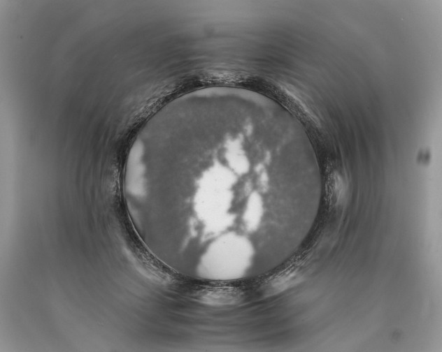 X0000089920459200707201822