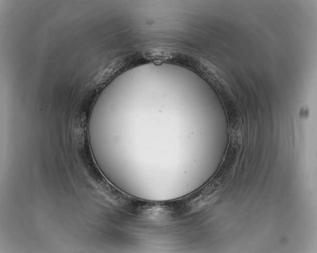 X0000089920460200707201822