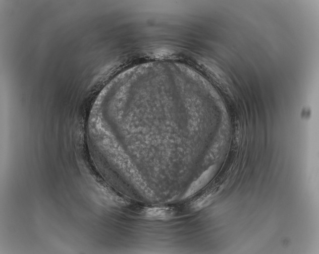 X0000089920461200707201822