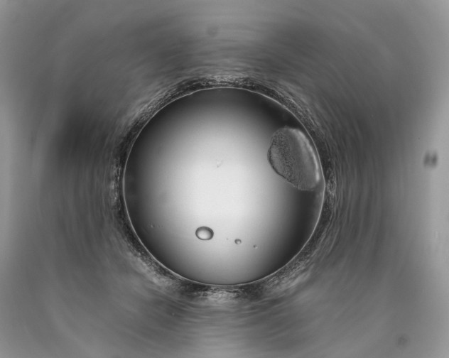 X0000089920462200707201822