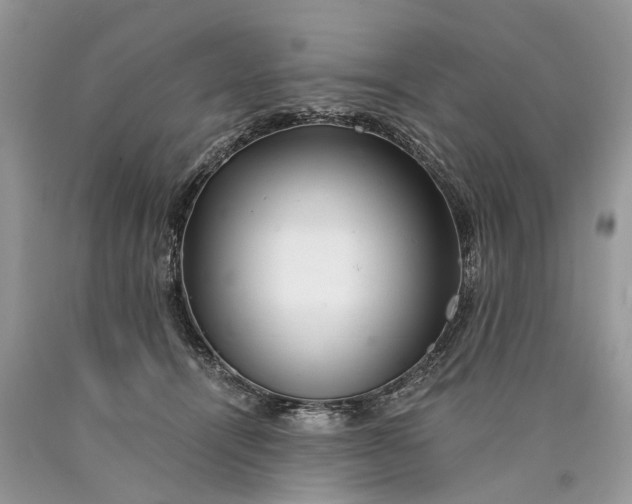 X0000089920464200707201822