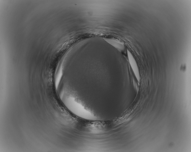 X0000089920466200707201822