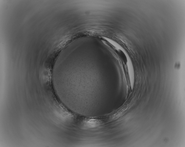 X0000089920467200707201822