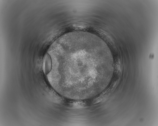 X0000089920468200707201822