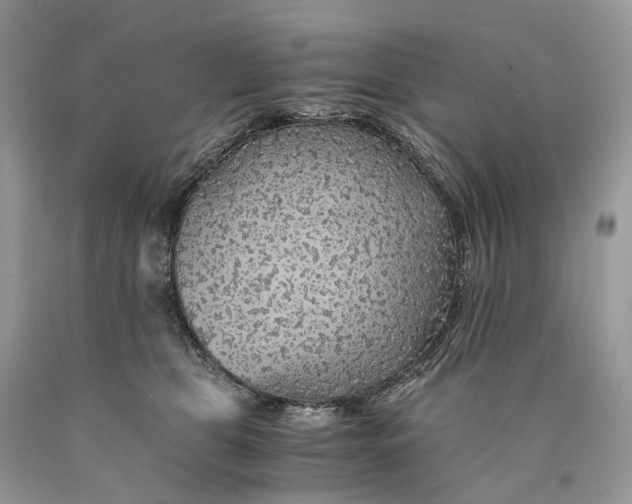 X0000089920469200707201822