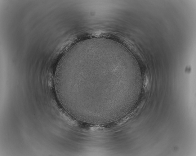 X0000089920470200707201822