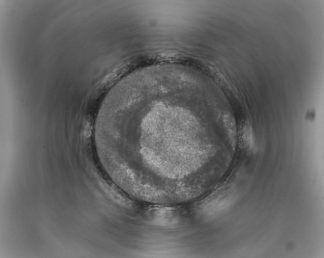 X0000089920472200707201822