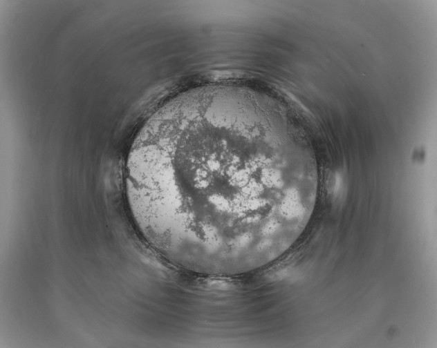 X0000089920475200707201822