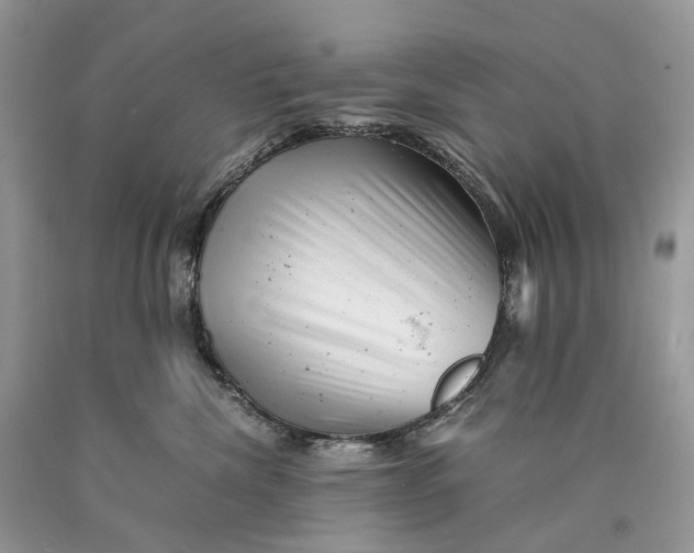 X0000089920476200707201822