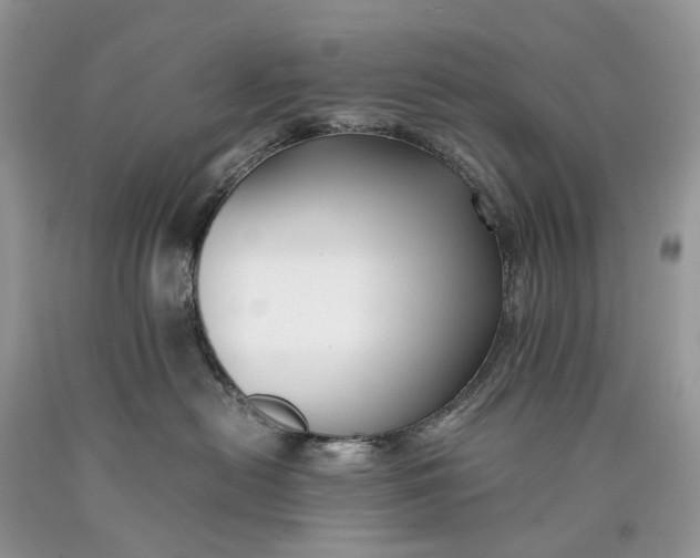 X0000089920478200707201822