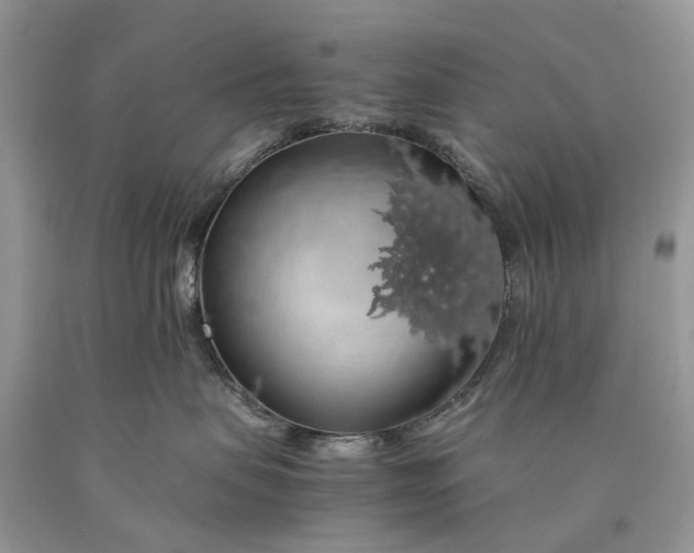 X0000089920479200707201822