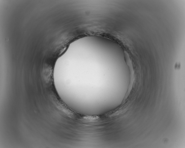 X0000089920480200707201822