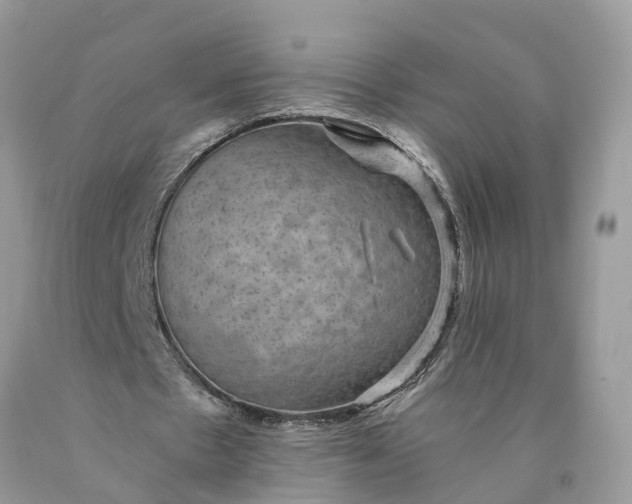 X0000089920481200707201821