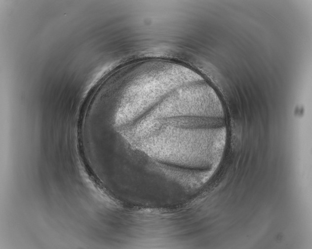 X0000089920482200707201821