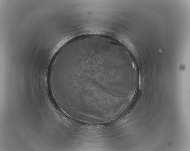 X0000089920483200707201821