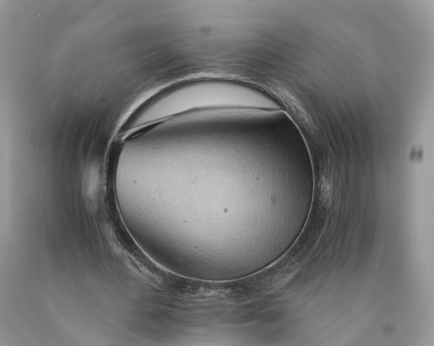 X0000089920484200707201821