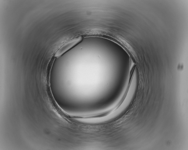 X0000089920485200707201821